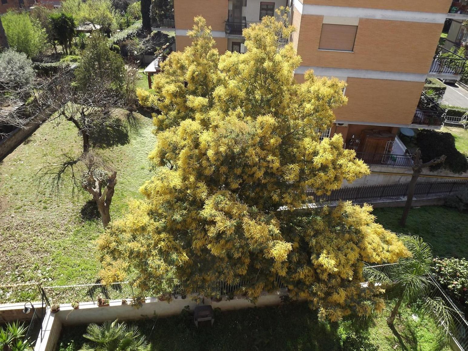 Ferienwohnung Gilda Vacanze Metro Battistini Rom Exterior foto
